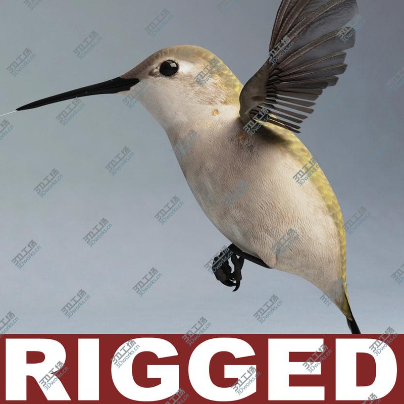 images/goods_img/202105074/Hummingbird Rigged/1.jpg
